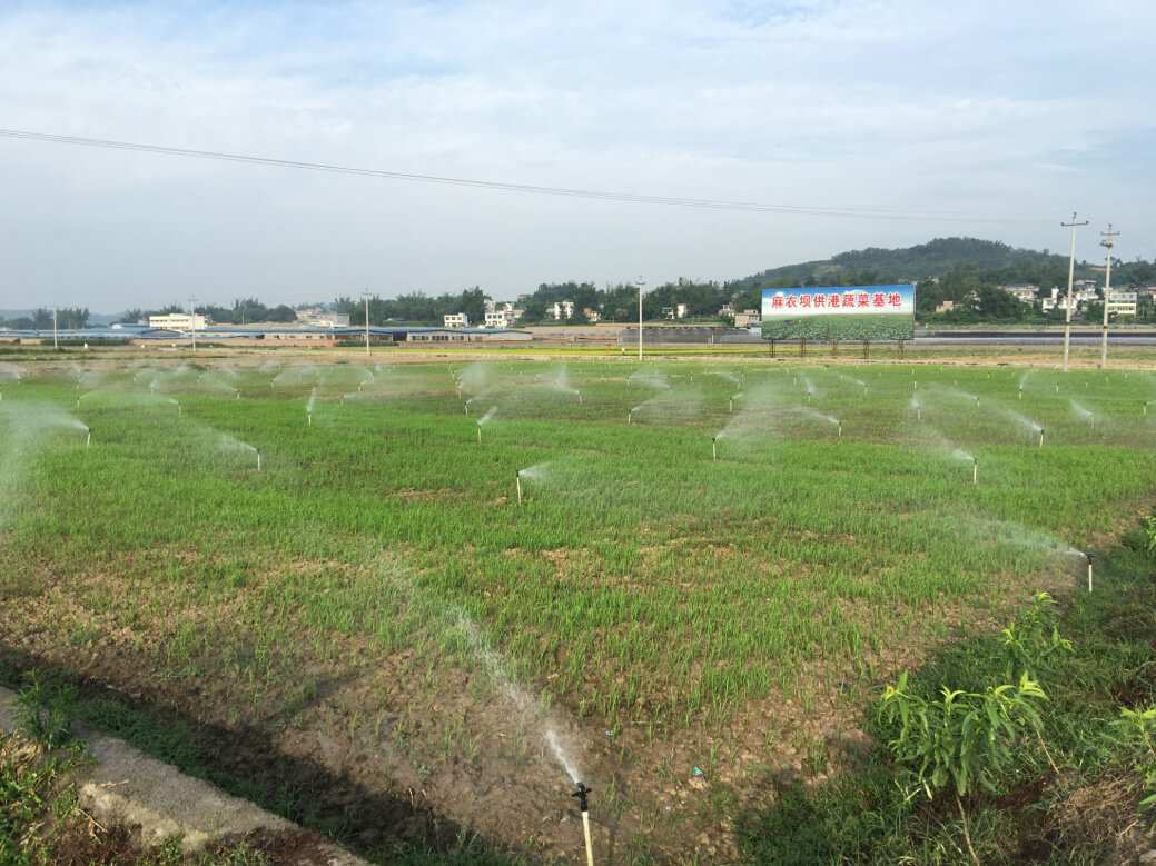 港峰蔬菜基地土壤修復項目