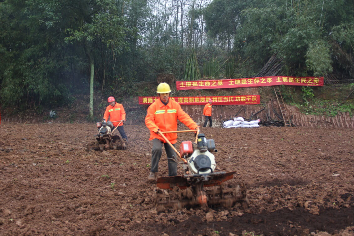 江安縣南北二鄉增減掛鉤項目區-大路村土壤修復項目示范區域