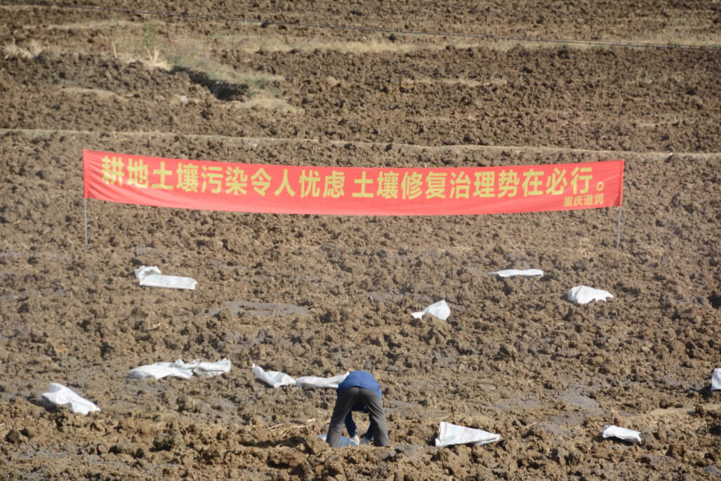 德昌縣巴洞供港果蔬基地土壤修復項目